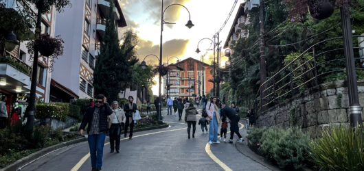 Gramado com cachorro: nosso roteiro pet friendly saindo de São Paulo